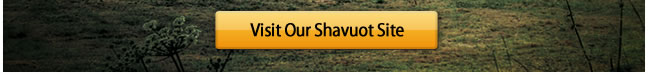 Visit the Shavuos Website