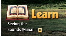 Learn: Seeing the Sounds @Sinai