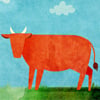 È davvero raro trovare una mucca rossa?