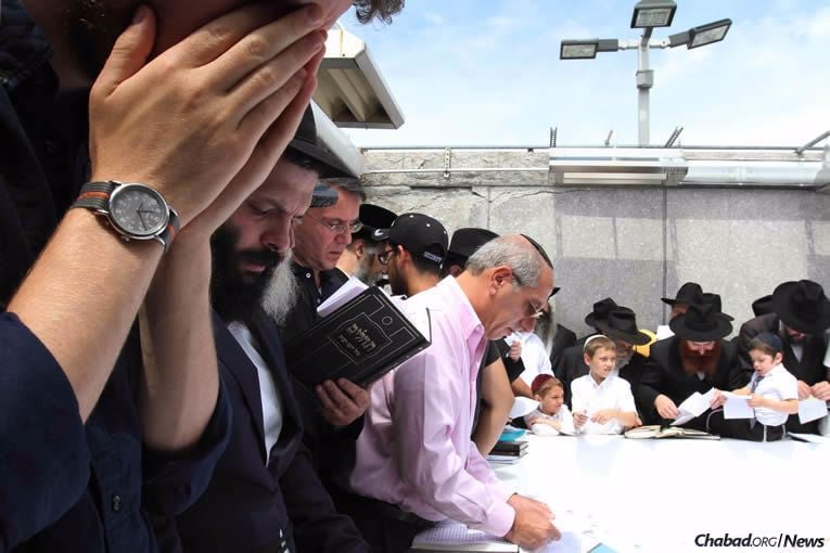 (File Photo: Tina Fineberg/Chabad.org)