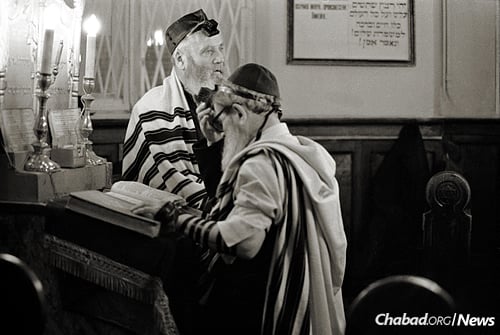 Reb Mottel Lifshitz, foreground, known as Reb Mottel der Shoichet, leading prayers in the small hall of Moscow’s Choral Synagogue, the room known as the Chabadnitza. (Photo: Nathan Brusovani (Bar))