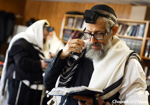 The rabbi prays Shacharit. (Photo: Shimi Kutner)