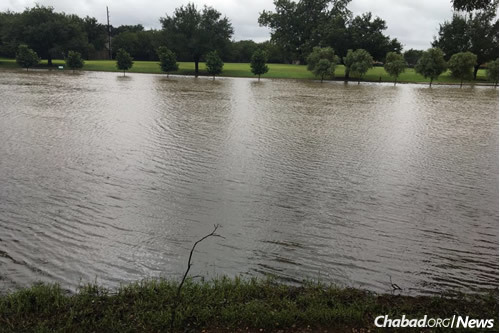 Among those who are bracing to see what happens to their home are Rabbi Mendel and Chaya Feigenson, co-directors of Chabad of Sugar Land. Oyster Creek, which abuts their backyard, is rising and nearly over its banks.