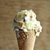 Caramel-Swirl Vanilla Ice Cream