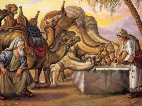 Camels at well.jpg