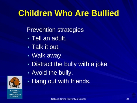 Bullying_For_Parents Maimonides.ppt (12).jpg