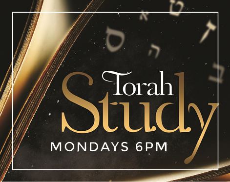 Torah Studies.png