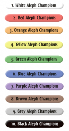 Yonkers-Hebrew-School-Aleph-Champions.png