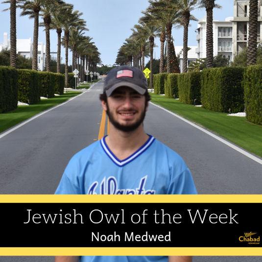 Jewish Owl of the Week.png