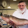 Berel Raskin, 84, Chassidic Fishmonger Who Became a Crown Heights Icon
