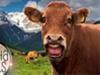 Do Skeptics Make You Have a Cow?