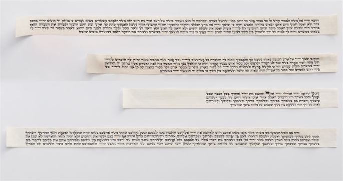 Os quatro rolos de pergaminho escritos à mão, para logo serem colocados num tefilin de cabeça de alta qualidade. (Crédito: Rabino Yosef Y. Rabin, sofêr)