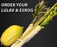 Lulav and Esrog Online Sales 5784