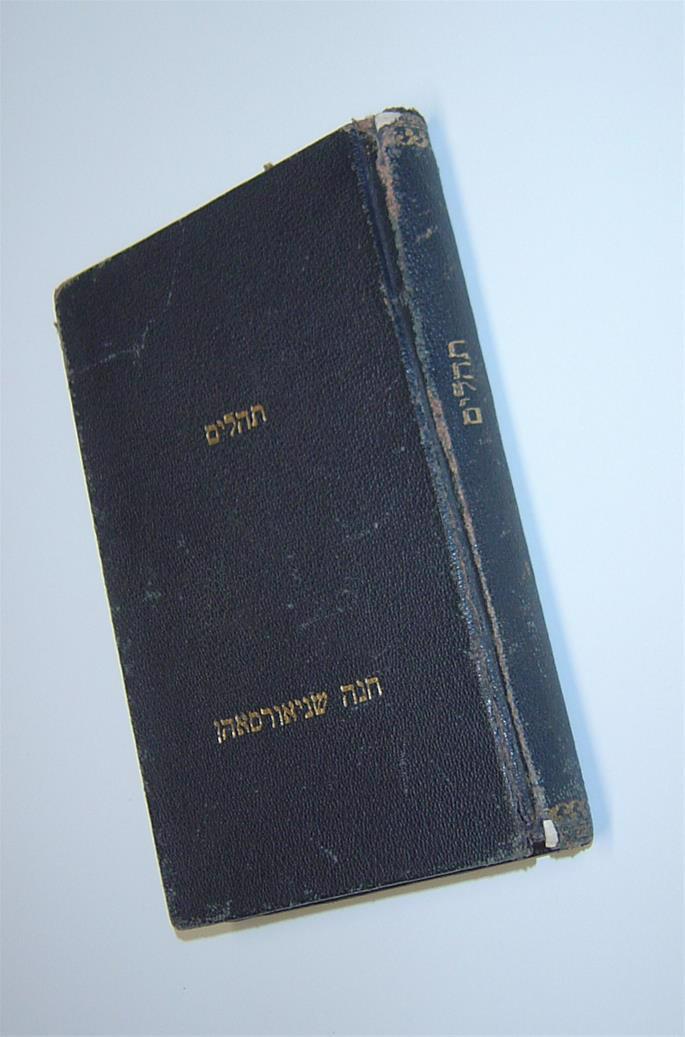 Among the precious belongings Rebbetzim Chana brought to her husband was her Tehillim (Book of Psalms), from which he would pray for hours.