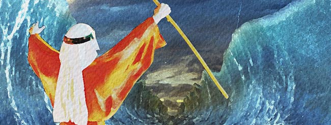 Torah Insights: Why the Sea Needed to Split