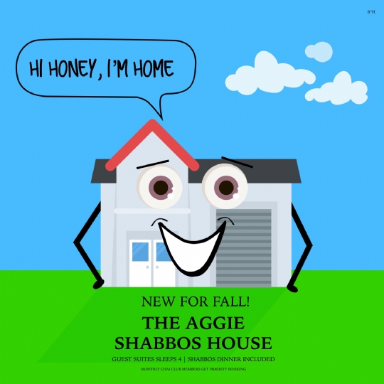 shabbos house.jpg