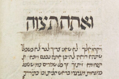 MS. Canon. Or. 81, Fol. 82 (1396) Tetzaveh.png
