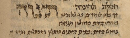 MS. Oppenheim 35, fol. 50 (1408) Tetzaveh.png