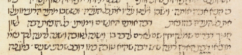 MS. Canonici Or. 35 (1401-25) Shelach.png