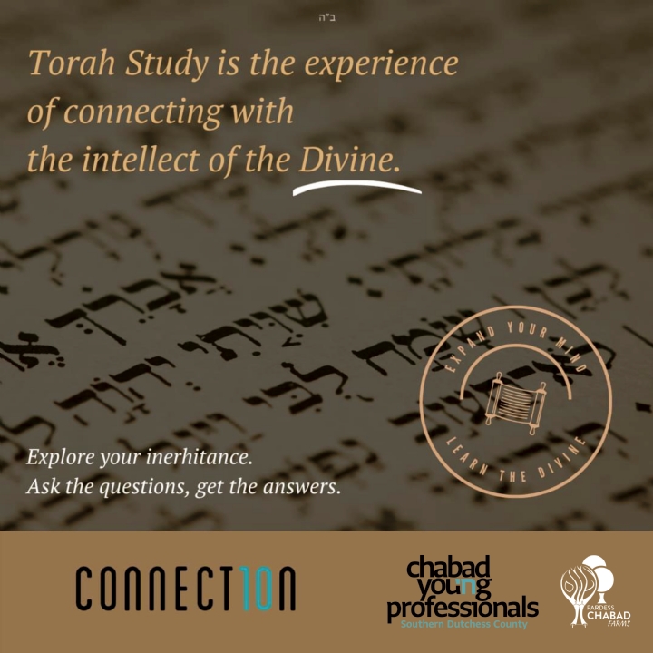 Torah Study1.jpg