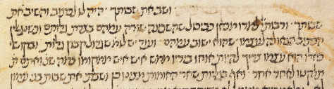 MS. Canonici Or. 35 (Nitzavim).png