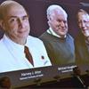 Cientista judeu ganha Nobel de Medicina pela descoberta do vírus da hepatite C