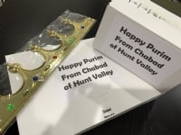 Chanukah and Purim Boxes To-Go 