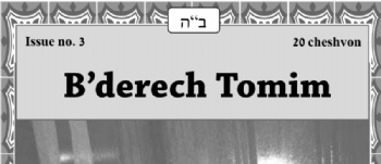 B'derech Tomim