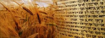 All About Shavuot