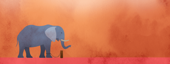 Guest Columnists: Don’t Get Stuck Like an Elephant!