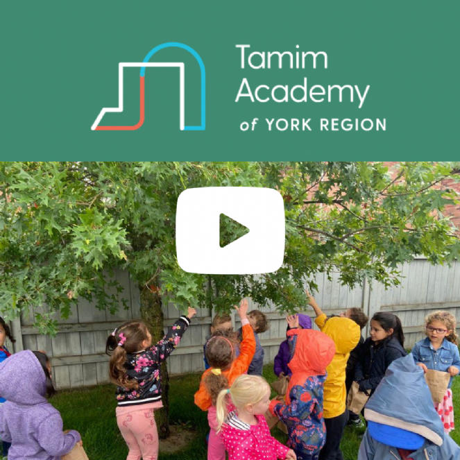 Tamim Academy Video Screenshot.png
