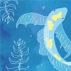 Be Like a Fish: A Meditation for the Month of Adar