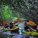 Kayaking Puerto Rico