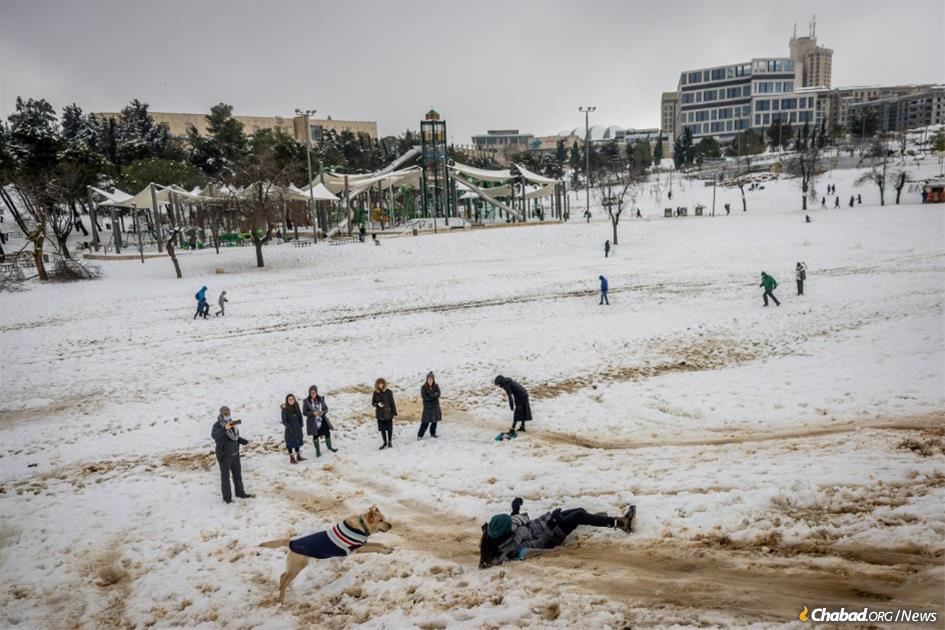  Playing in the snow at Gan Sacher Park in Jerusalem. (Photo: Yonatan Sindel/Flash90)