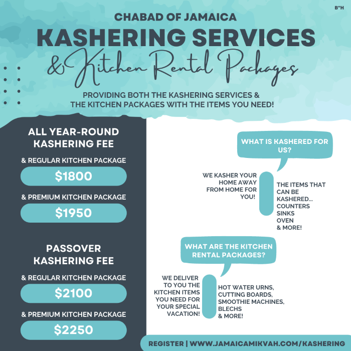Pesach Kashering Service.png
