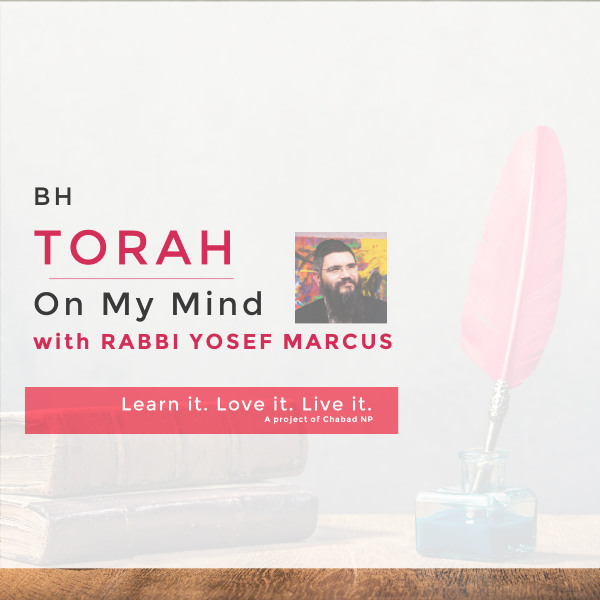 Rabbi Yossi Sermons.png
