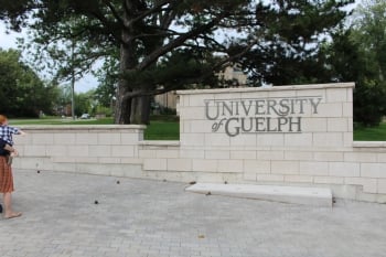 Considering Guelph?