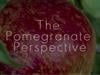 The Pomegranate Perspective