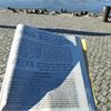 Reflexión en la orilla del Danubio