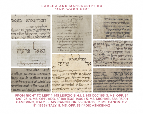 Parsha and manuscript Bo .png