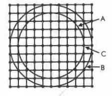 A - A Circle With a Diameter of 32 Cubits
B - A Circle With a Diameter of 40 Cubits
C - Vines Positioned Four Cubits From Each Other
This diagram is adapted from a diagram drawn by the Rambam in his Commentary to the Mishnah (loc. cit.).
