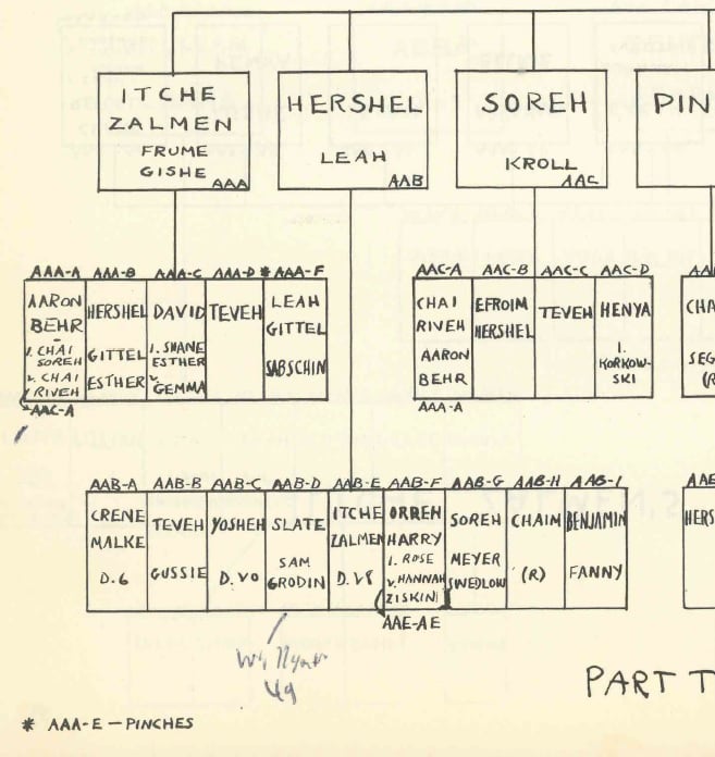 On this family tree one can see how Pinchas was almost omitted.