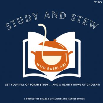 Study and Stew 