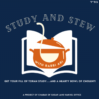 Study and Stew