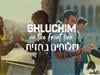 From Columbia to Chevron: Shluchim on the Frontlines 