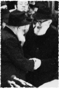 The Rebbe and the Rav - Life & Times