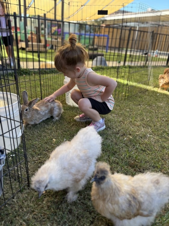 Little Explorers: Ages 3, 4, and 5