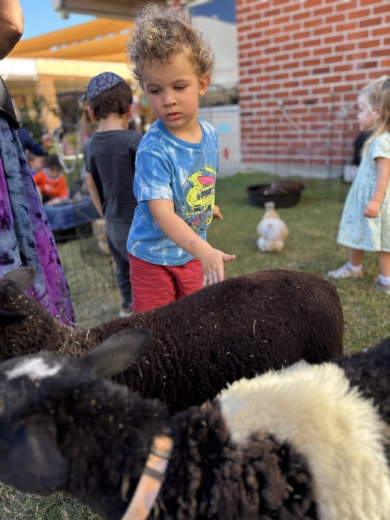 Little Explorers: Ages 3, 4, and 5