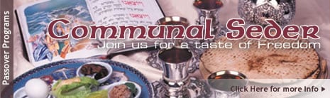 Communal Seder (465 px)