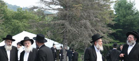 Rabbi Eli Landa, left, one of the heads of the central yeshiva in Kfar Chabad, Israel, discusses a Jewish legal matter with Rabbi Moshe Havlin, chief rabbi of Kiryat Gat, Israel, and Philadelphia Chief Rabbi Dov Brisman; while Rabbi Yitzchak Hertz, dean of the central Chabad-Lubavitch yeshiva in London and famed New York author and halachic decisor Rabbi Gavriel Zinner converse at the Global Yarchei Kallah convention in Parksville, N.Y. Photo Eli Kahn